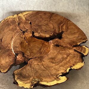 Mesquite Burl Cap