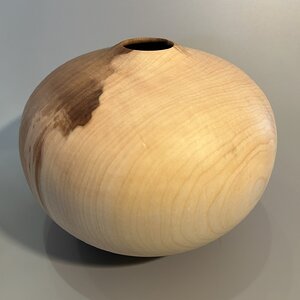 Norway maple hollow form