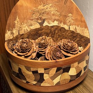 Cedar Cone Display