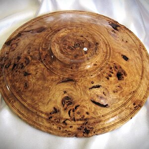 #2272 Cottonwood burl