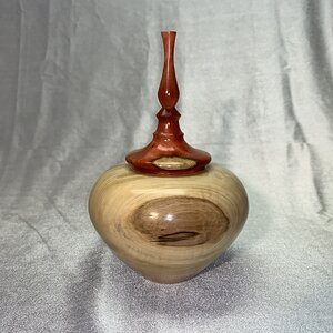 Horse Chestnut Hollow Form Box