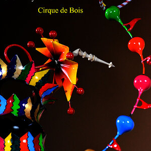 Cirque de Bois detail