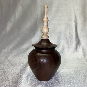 East Indian Rosewood Hollow Form Box