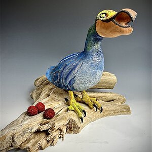 Dodo reimagined