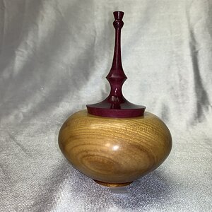 Osage Hollow Form Box