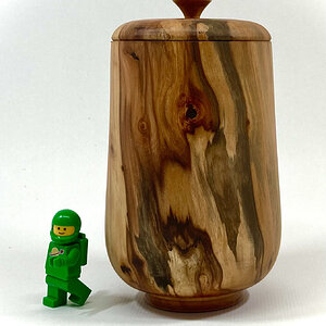 Spalted Pacific crabapple (Malus fusca)