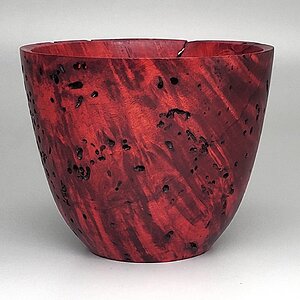 Dyed Box Elder Wormy Bowl