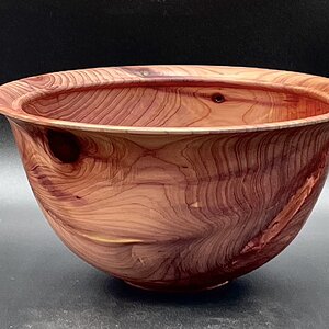 Eastern Red Cedar #495