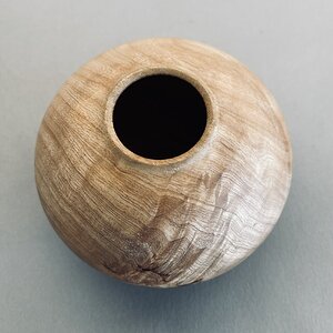 Ash hollow form