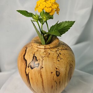 Twig Pot #1of 3