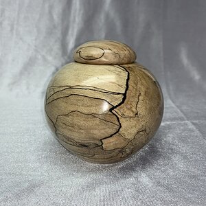 Spalted Maple Hollow Form Box