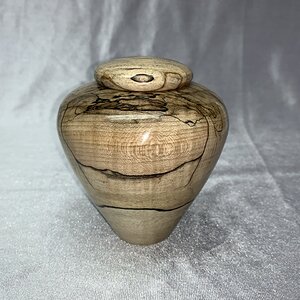 Spalted Maple Hollow Form Box