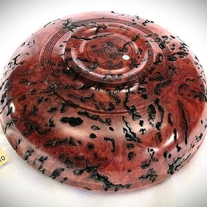 #2130 Australian Red River Gum Burl