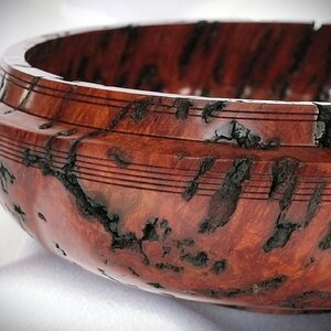 #2130 Australian Red River Gum Burl.....(detail photo)