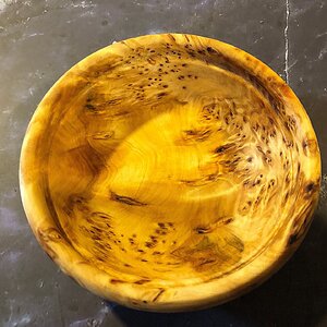 Yellow Cedar bowl 3 1/2" dia and 1 1/8" deep