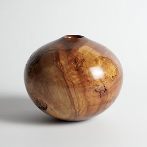 Red maple burl