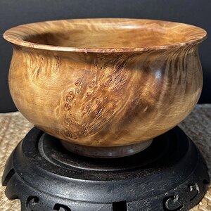 California Cottonwood Burl