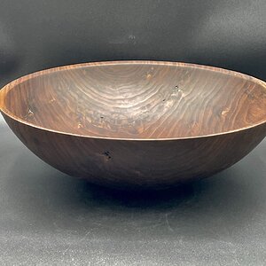 Black Walnut #496