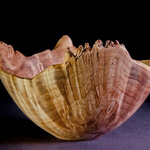 Maple burl bowl