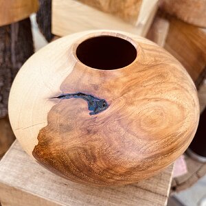 Pecan hollow form