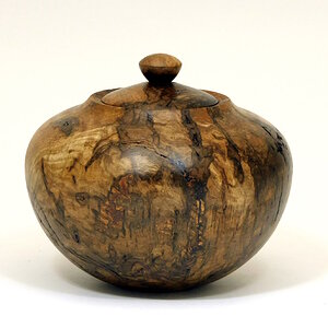 Swamp Oak Lidded Hollowform