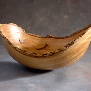 American Elm Collaboration Bowl