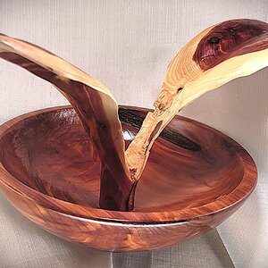 Eastern Cedar Bowl with Leaves, view 1