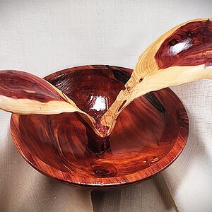 Eastern Cedar Bowl with Leaves, view 2