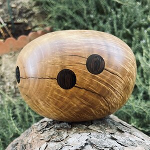 Unknown burl wood with wenge coins