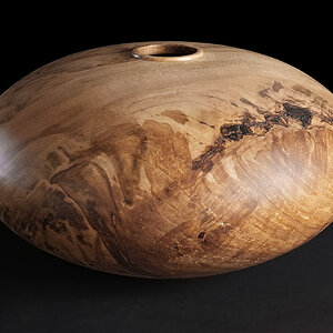 Another Spalted Maple Hollow Form