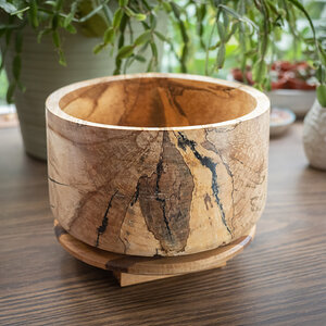 Spalted Japanese Maple Bowl