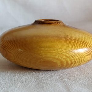 Osage Orange Hollow Form