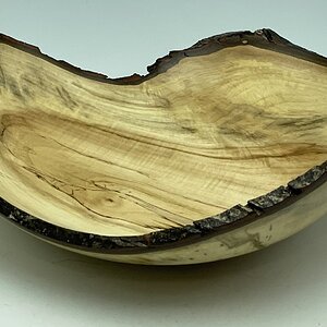 Silver Maple Spalted Bowl