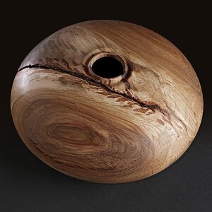 Bifurcated Hickory Hollow Form