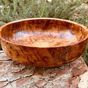 Elm Burl bowl