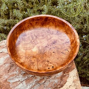 Elm burl bowl