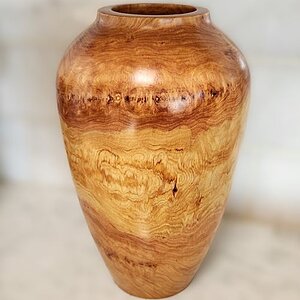 Wavy Alligator Juniper VASE.jpg