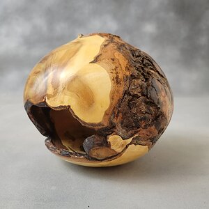 Maple Burl Hollow Form