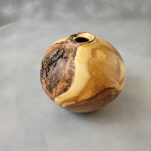 Maple Burl Second View