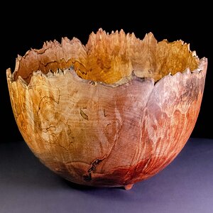 Maple Burl Bowl