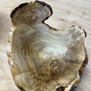 Natural edge Japanese maple bowl