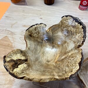 Natural edge Japanese maple bowl