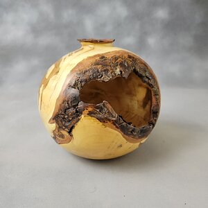 Maple Burl hollow form