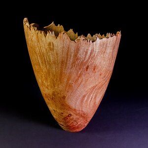 Big Leaf Maple Burl Vessel