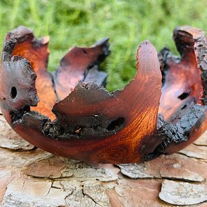 Manzanita burl bowl