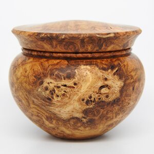 Golden Amboyna Burl Elegant Box