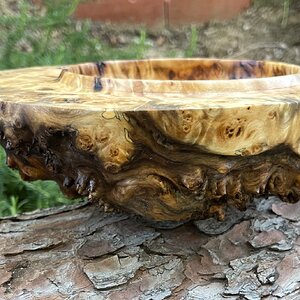 Offset poplar burl bowl