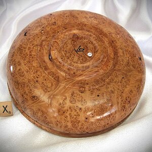 #2196 Big Leaf Maple burl