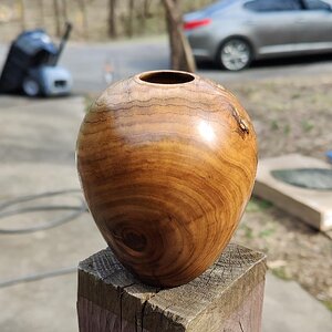 Elm Hollow Form