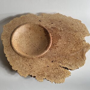 Big Leaf Maple off center bowl